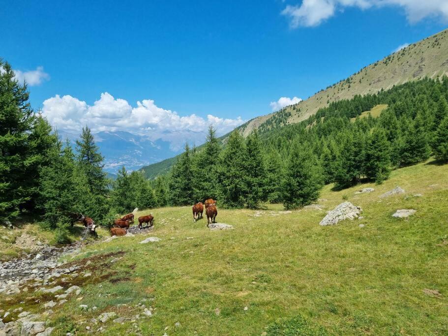 Апартаменты T2 + Coin Montagne - Wifi/Piscine - Les Orres 1800 Экстерьер фото